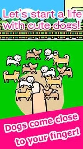 和狗一起玩游戏